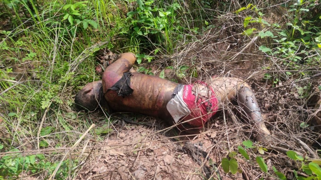 d55d8e7d-acc0-4538-8ad8-e39675e8a85d