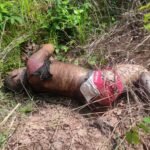 d55d8e7d-acc0-4538-8ad8-e39675e8a85d