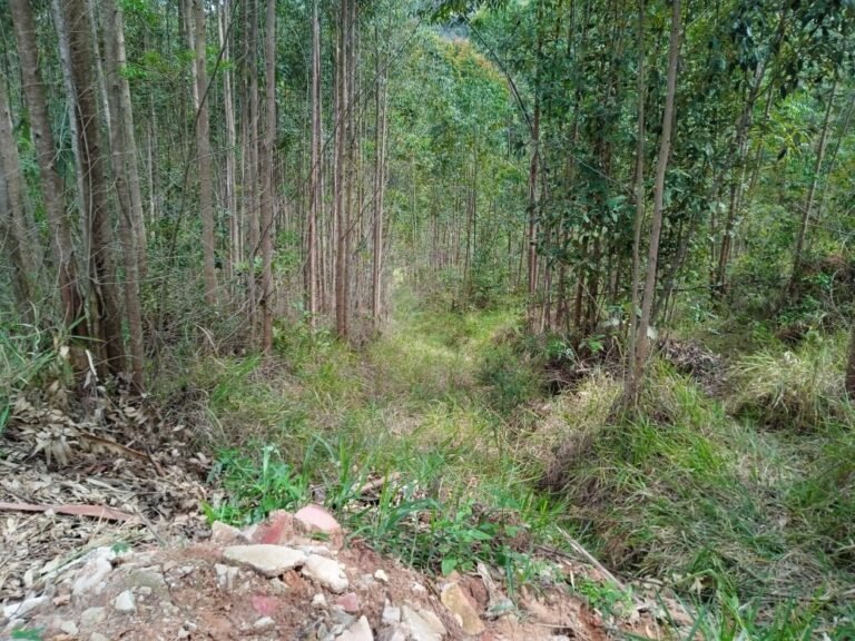 Justiça condena pais por morte de próprio filho em Salesópolis
