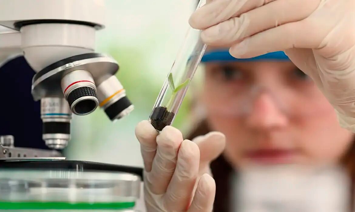 Programa nacional oferece 470 vagas para alunas e professoras em laboratórios