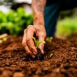 Nova lei muda regras do seguro rural e amplia benefícios para produtores