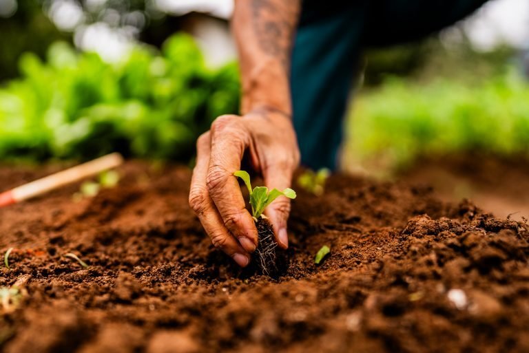 Nova lei muda regras do seguro rural e amplia benefícios para produtores