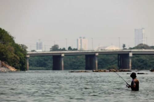 Pescadores e comércios têm até segunda-feira para declarar estoque de peixes em MT
