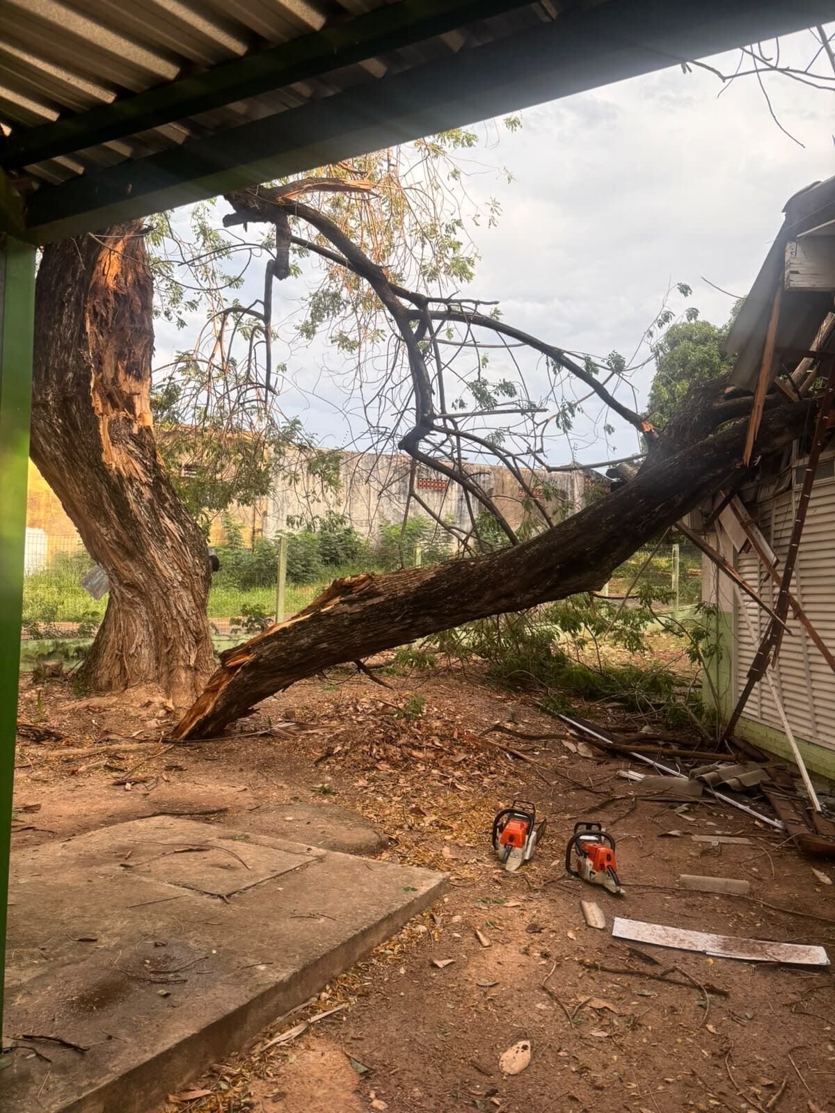 Prefeitura de Cuiabá socorre enfermeira após queda de árvore em posto de saúde