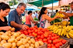 Após altas seguidas, última semana de outubro encerra com queda no preço da cesta básica
