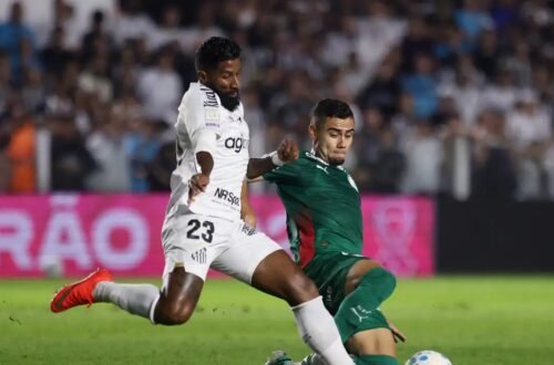 Brasileirão: Palmeiras fica no zero com o Santos e Flamengo agradece