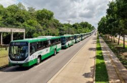 Com frota total, Cuiabá garante transporte gratuito aos eleitores durante este domingo