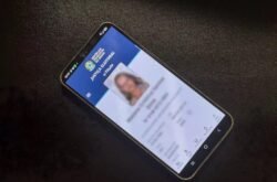 Eleições 2026: e-Título permite justificar ausência pelo celular