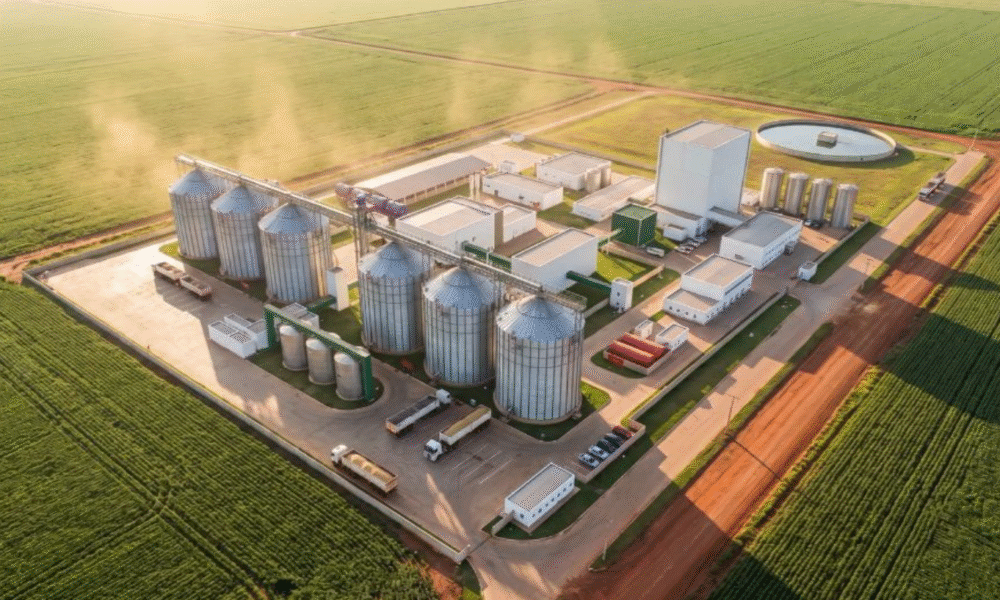 Projeto busca ampliar industrialização da soja em MT