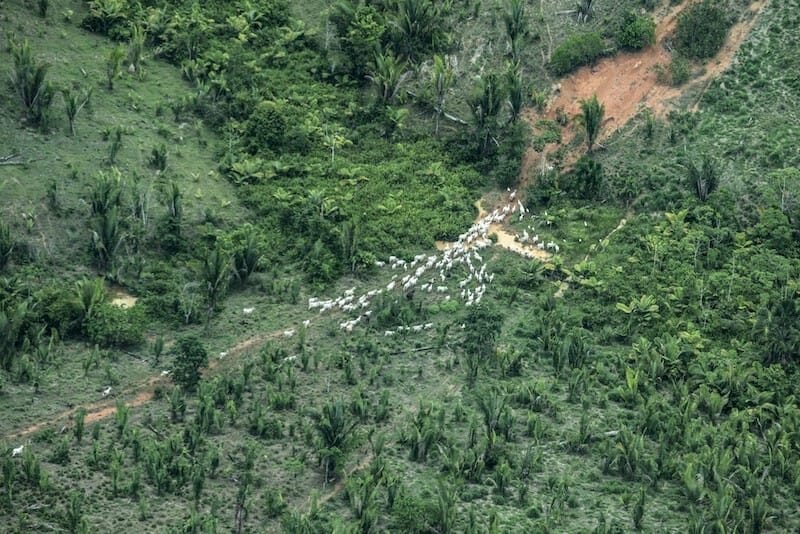 Justiça proíbe exploração de recursos naturais e manda desocupar terra indígena em MT