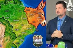 MPE investiga vereador de Cuiabá por postagem com jumento sobre região Nordeste