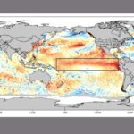 El Niño pode ser um dos mais fortes desde 1950, aponta boletim do Inpe