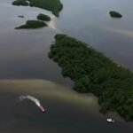 COP17 aponta falhas globais na proteção da biodiversidade mundial