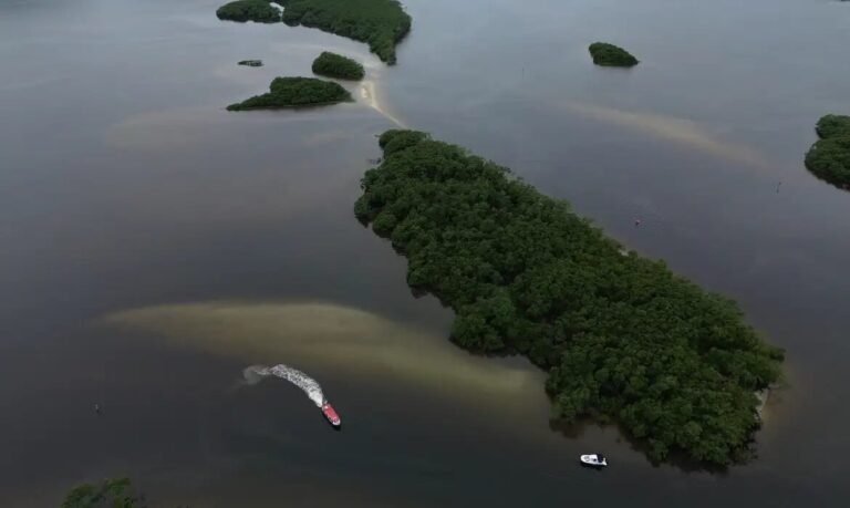 Países consideram insuficientes ações contra crise da biodiversidade