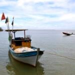 Pesca marinha na foz do Rio Doce é liberada após uma década