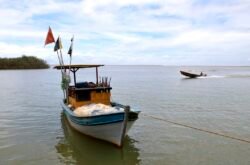 Pesca na foz do Rio Doce volta a ser liberada depois de dez anos