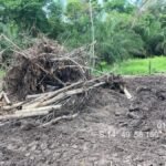 Polícia ambiental flagra desmatamento ilegal com trator em MT