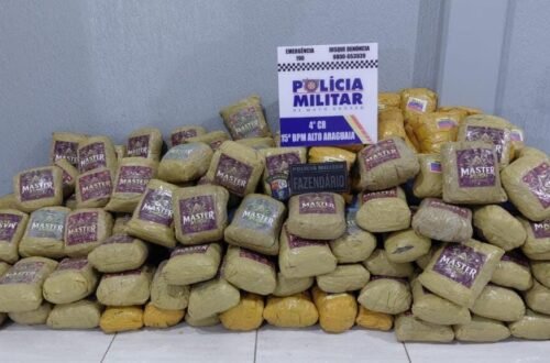 Polícia Militar apreende super maconha escondida em carga de milho e motorista é preso