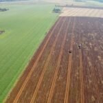Você viu? Crédito para compra de terras dispara e atrai jovens agricultores