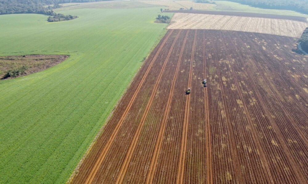 Você viu? Crédito para compra de terras dispara e atrai jovens agricultores