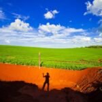 Projeto veda compras públicas de itens agropecuários em terras invadidas