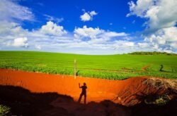 Projeto proíbe compra pública de produtos agropecuários de áreas invadidas