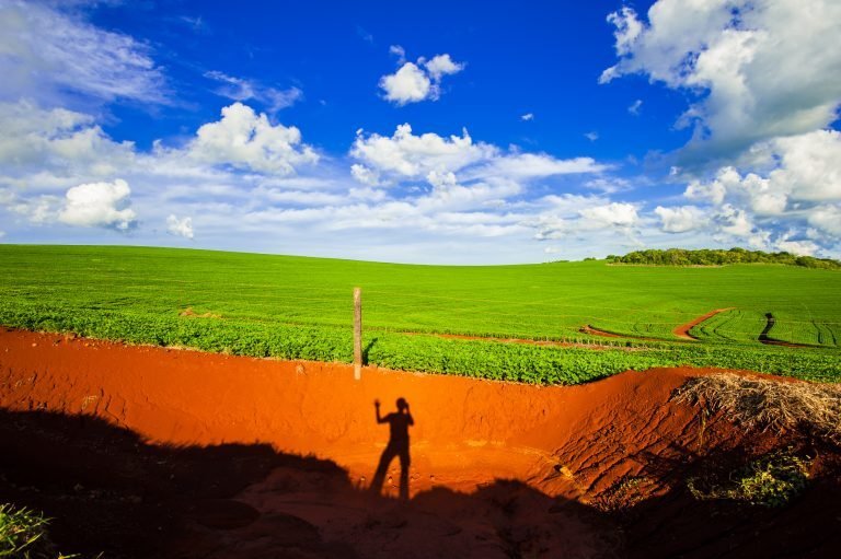Projeto veda compras públicas de itens agropecuários em terras invadidas