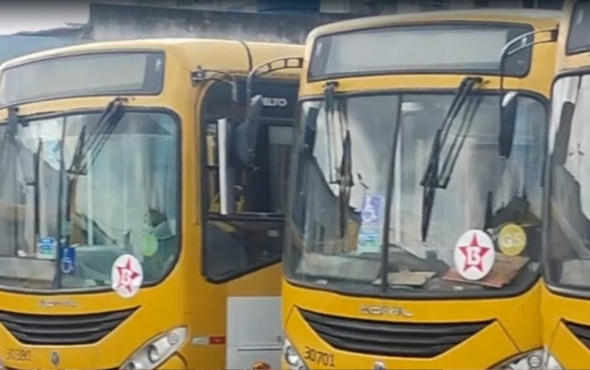 Pular para o conteúdo