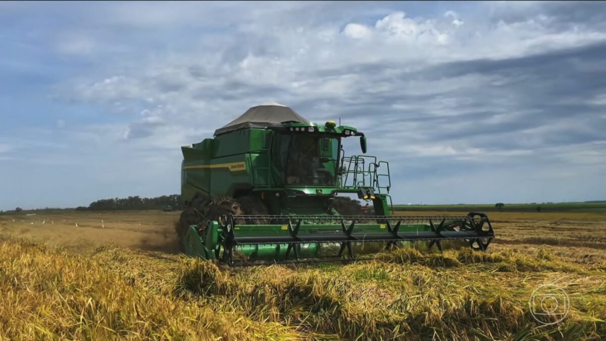 Gigantes do agro brasileiro faturam R$ 1,24 trilhão em 2025