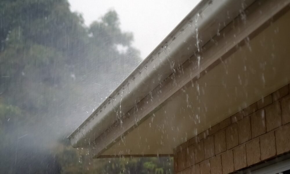 Chuva volta ao campo, mas Matopiba ainda depende de novas precipitações para avançar com a soja